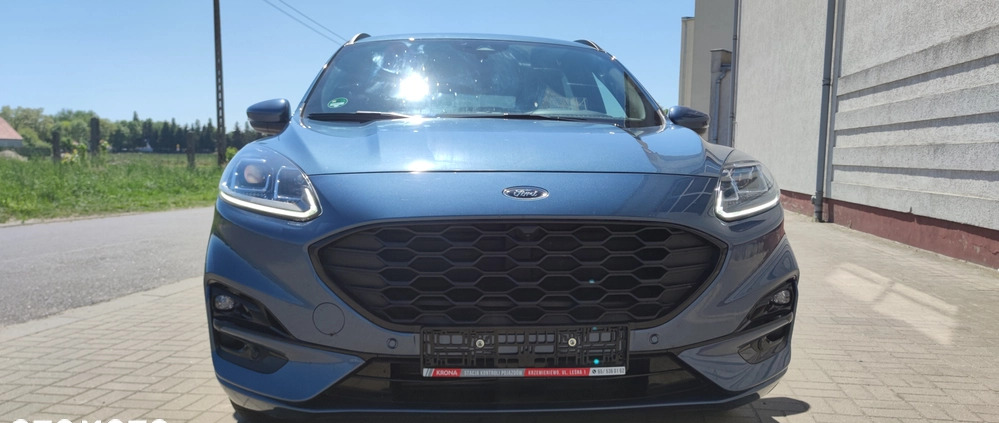 Ford Kuga cena 115900 przebieg: 11125, rok produkcji 2023 z Leszno małe 254